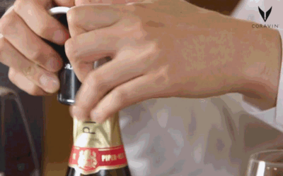 detail_c104b909ea1c4932ae98.gif
